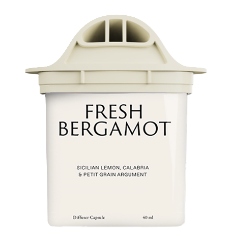bergamot