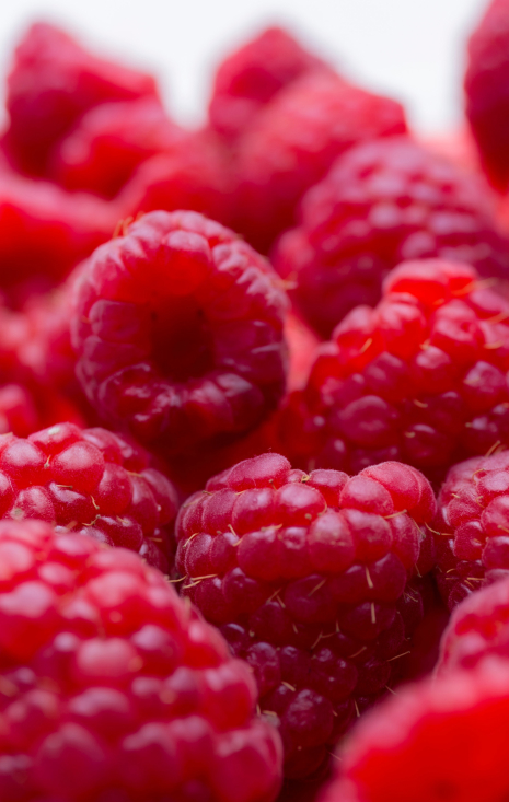 product-left-image-lounge